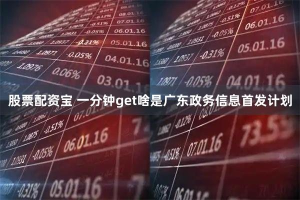 股票配资宝 一分钟get啥是广东政务信息首发计划